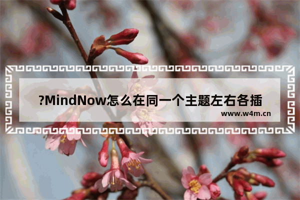 ?MindNow怎么在同一个主题左右各插入一个子主题-?MindNow在同一个主题左右插入子主题的方法