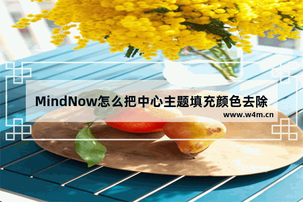 MindNow怎么把中心主题填充颜色去除-MindNow设置中心主题填充颜色的方法