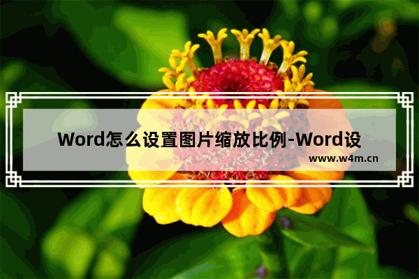 Word怎么设置图片缩放比例-Word设置图片缩放比例的方法