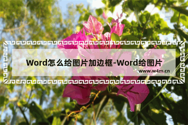 Word怎么给图片加边框-Word给图片加边框的方法