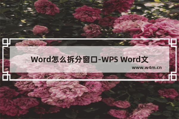 Word怎么拆分窗口-WPS Word文档拆分窗口的方法