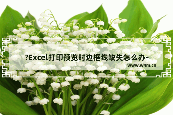 ?Excel打印预览时边框线缺失怎么办-Excel表格中解决打印时不显示边框线的方法教程