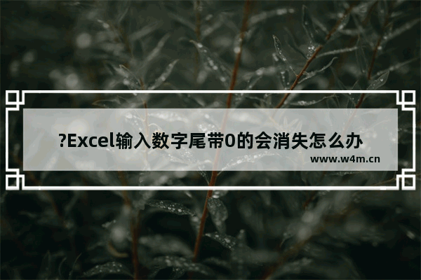 ?Excel输入数字尾带0的会消失怎么办-Excel表格中解决数字后面的0不显示的方法教程