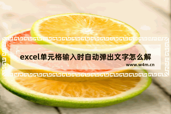 excel单元格输入时自动弹出文字怎么解除-excel单元格总是提示输入文字的取消方法