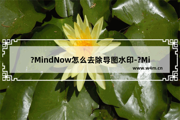 ?MindNow怎么去除导图水印-?MindNow去除导图水印的方法