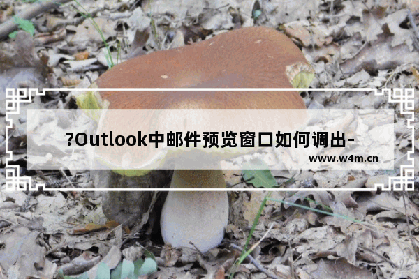 ?Outlook中邮件预览窗口如何调出-Outlook邮箱电脑版打开邮件预览栏的方法教程