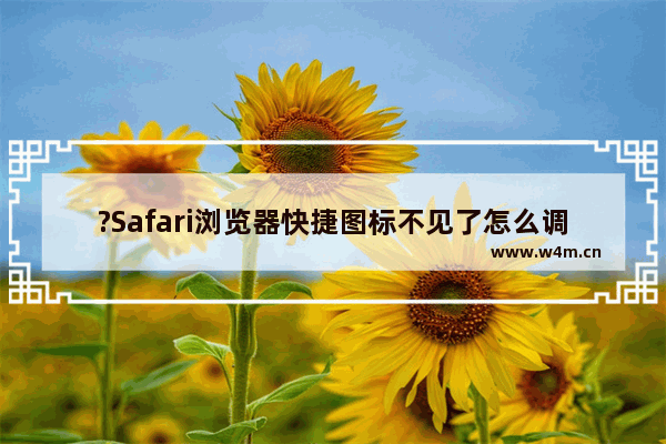 ?Safari浏览器快捷图标不见了怎么调出来-Safari浏览器电脑版恢复显示桌面快捷方式的方法教程