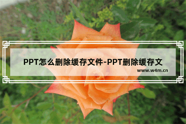 PPT怎么删除缓存文件-PPT删除缓存文件的方法