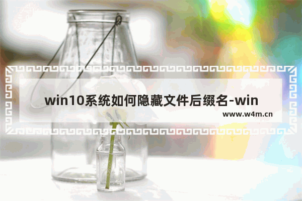 win10系统如何隐藏文件后缀名-win10电脑把文件的后缀名去掉的方法