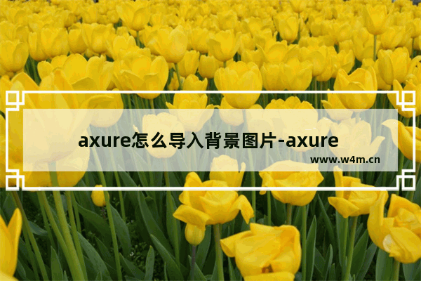 axure怎么导入背景图片-axure rp8设置背景图片的方法