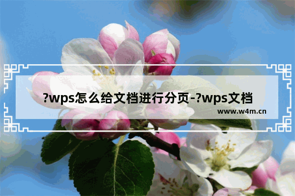 ?wps怎么给文档进行分页-?wps文档实现分页显示的设置方法