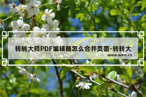 转转大师PDF编辑器怎么合并页面-转转大师PDF编辑器将多个页面合并在一起的方法