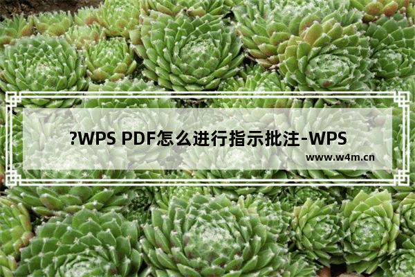 ?WPS PDF怎么进行指示批注-WPS pdf电脑版在指定位置批注的方法教程