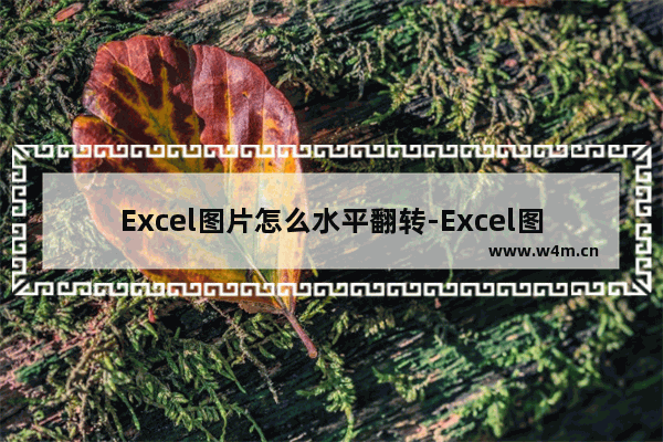 Excel图片怎么水平翻转-Excel图片水平翻转的方法