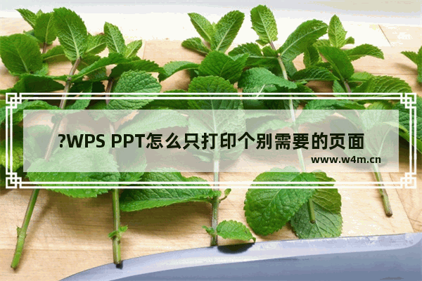 ?WPS PPT怎么只打印个别需要的页面-WPS演示文稿电脑版自定义打印范围的方法教程