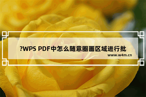 ?WPS PDF中怎么随意圈画区域进行批注-WPS pdf电脑版随意画进行标注的方法教程