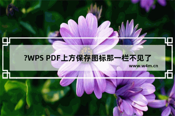 ?WPS PDF上方保存图标那一栏不见了怎么恢复-WPS PDF电脑版中调出快速访问工具栏的方法教程