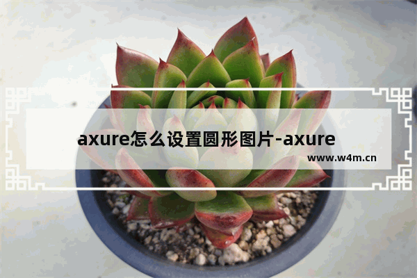 axure怎么设置圆形图片-axure rp8把图片放到圆里面设置成圆形图片的方法