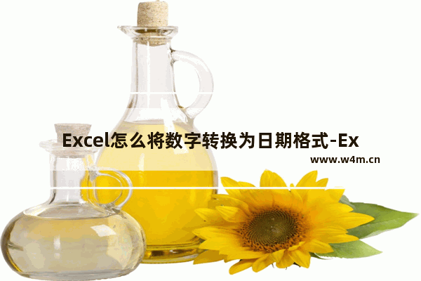 Excel怎么将数字转换为日期格式-Excel将数字转换为日期格式的方法