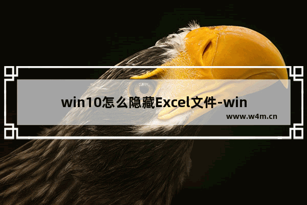 win10怎么隐藏Excel文件-win10电脑中隐藏Excel文件的方法