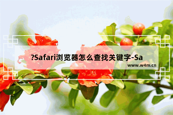 ?Safari浏览器怎么查找关键字-Safari浏览器中搜索关键字进行查找的方法教程