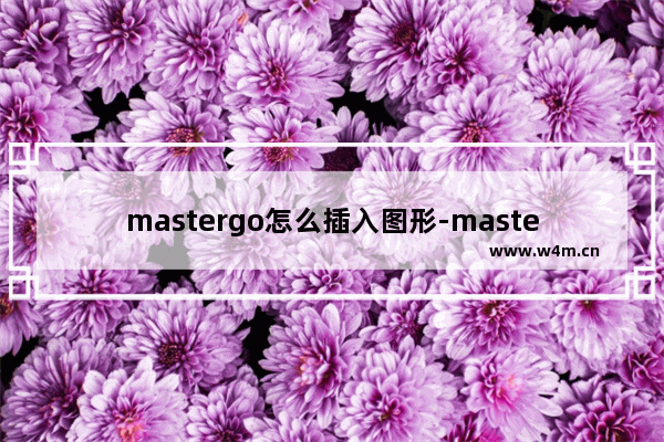 mastergo怎么插入图形-mastergo添加圆形形状的方法