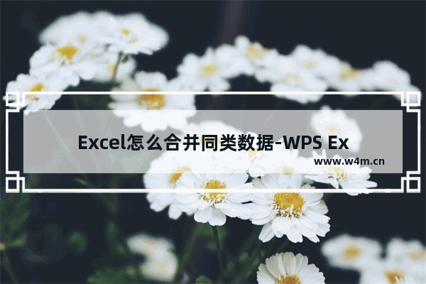 Excel怎么合并同类数据-WPS Excel快速合并汇总同类数据的方法