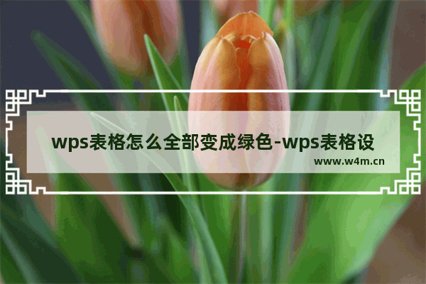 wps表格怎么全部变成绿色-wps表格设置绿色背景开启护眼模式的方法