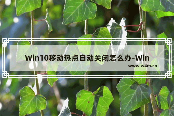 Win10移动热点自动关闭怎么办-Win10移动热点自动关闭的解决方法