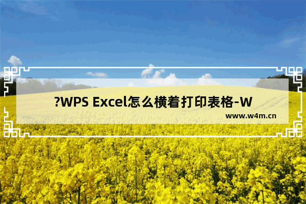 ?WPS Excel怎么横着打印表格-WPS表格电脑版中横向打印的方法教程