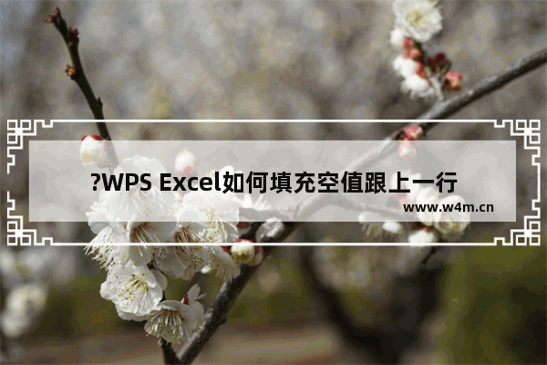 ?WPS Excel如何填充空值跟上一行一样-WPS表格电脑版中隔行填充不同数据的方法教程