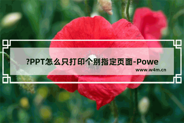 ?PPT怎么只打印个别指定页面-PowerPoint演示文稿中设置只打印需要的某一页面的方法教程