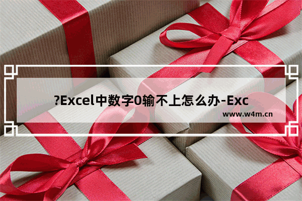 ?Excel中数字0输不上怎么办-Excel表格中解决输入不了单独的数字0的方法教程