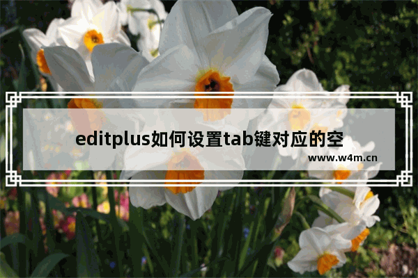 editplus如何设置tab键对应的空格数-editplus调整制表符尺寸大小的方法