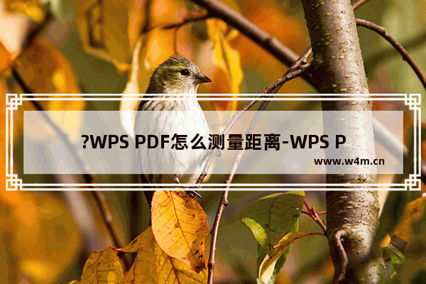 ?WPS PDF怎么测量距离-WPS PDF电脑版中测量距离的方法教程