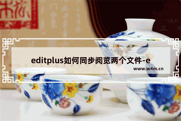 editplus如何同步阅览两个文件-editplus同时同步观看两个文件内容的方法