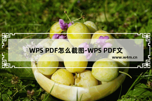 WPS PDF怎么截图-WPS PDF文档中使用截图功能的方法