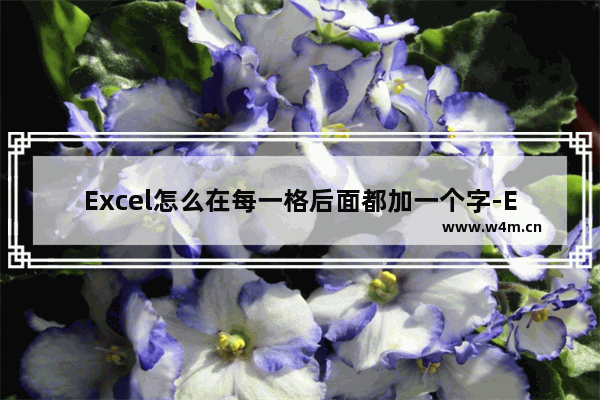 Excel怎么在每一格后面都加一个字-Excel在每一格后面都加一个字的方法