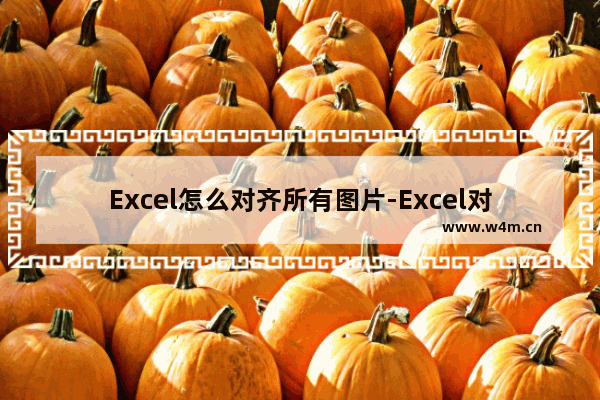 Excel怎么对齐所有图片-Excel对齐所有图片的方法