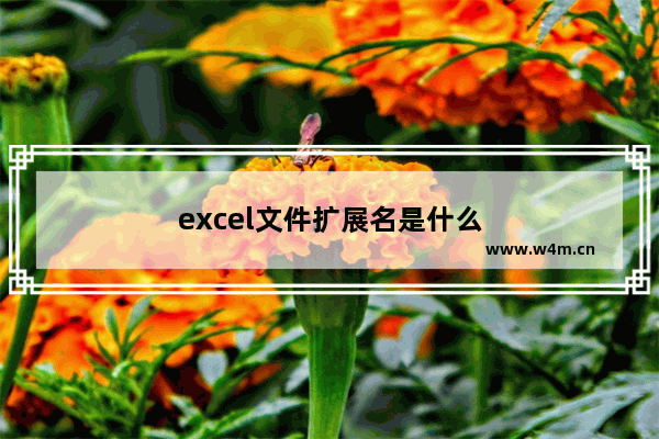 excel文件扩展名是什么