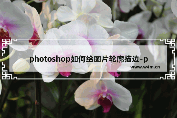 photoshop如何给图片轮廓描边-photoshop给图片轮廓描边的方法