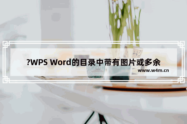 ?WPS Word的目录中带有图片或多余文字怎么去除-WPS文档电脑版修复目录中带有多余内容的教程