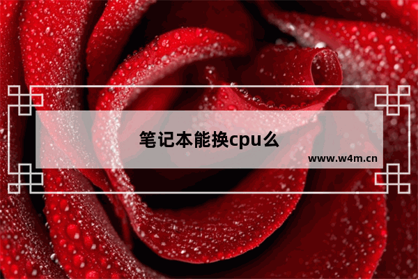 笔记本能换cpu么