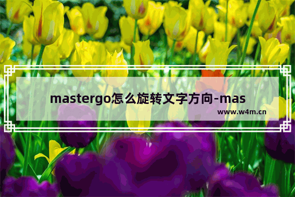 mastergo怎么旋转文字方向-mastergo设置文字方向旋转的方法