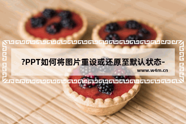 ?PPT如何将图片重设或还原至默认状态-PowerPoint演示文稿中重置图片到初始效果的方法教程