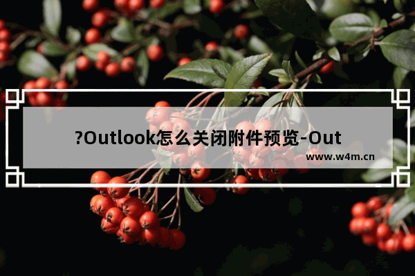 ?Outlook怎么关闭附件预览-Outlook邮箱中关闭附件预览功能的方法教程