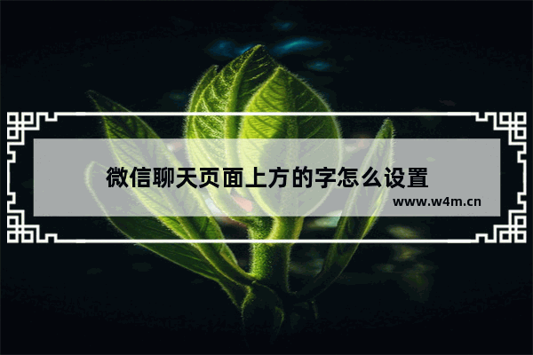 微信聊天页面上方的字怎么设置