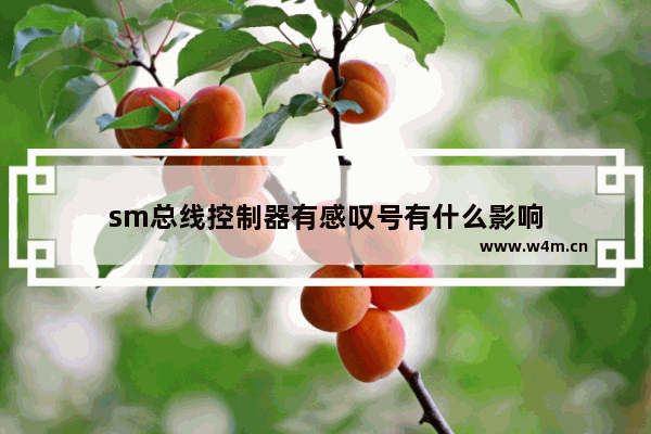 sm总线控制器有感叹号有什么影响