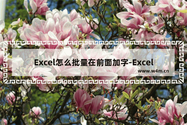 Excel怎么批量在前面加字-Excel批量在前面加字的方法