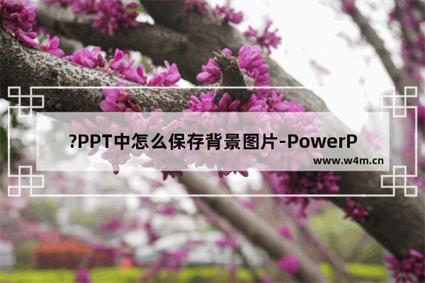 ?PPT中怎么保存背景图片-PowerPoint演示文稿中把背景另存为图片的方法教程